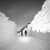 www.gaboteur.ca-edition-speciale-snowmageddon-2020-a7-1-editbw-scaled